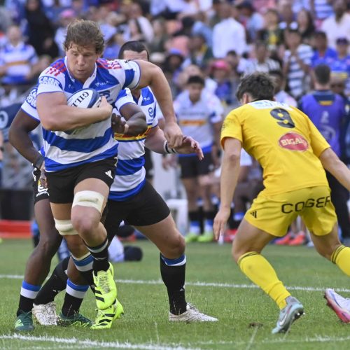 Stormers extend contract of number eight Evan Roos