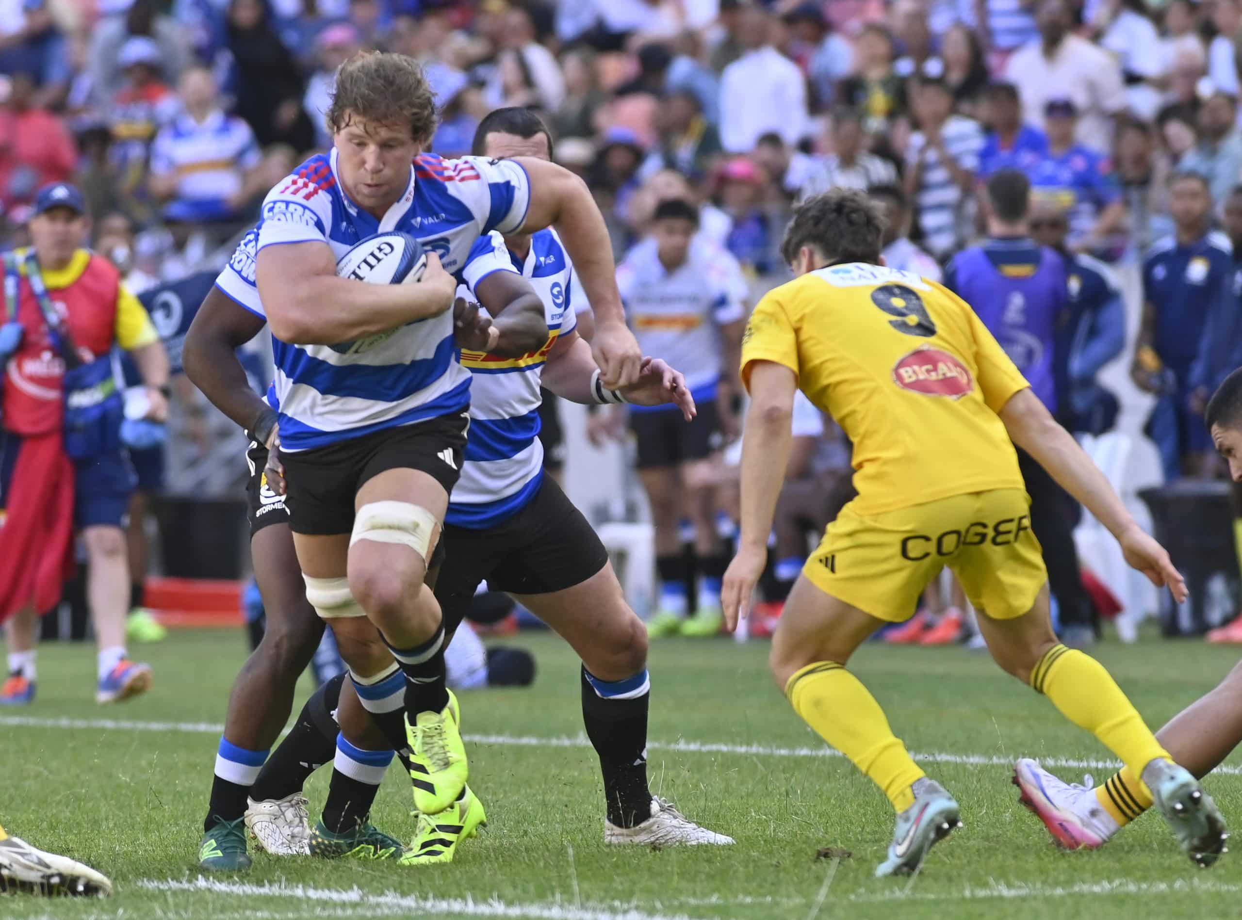 You are currently viewing Stormers extend contract of number eight Evan Roos