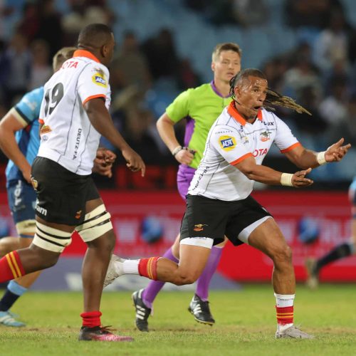 Cheetahs to be added to URC?