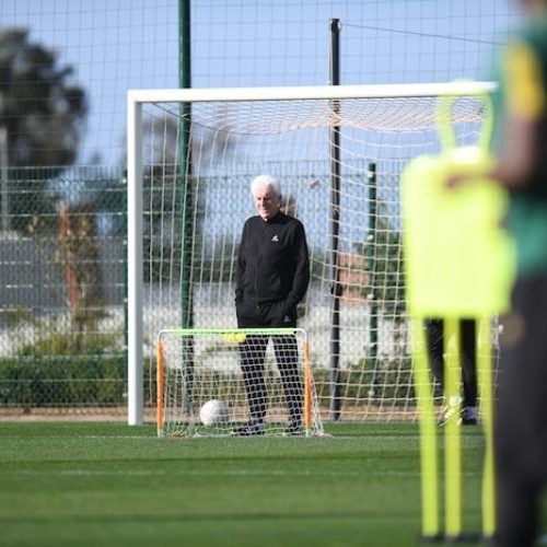 Broos Puts Sentiment Aside as Bafana Target Victory Against Cameroon