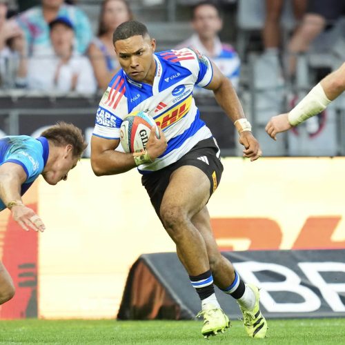 Bulls, Stormers learn knockout opponents in European Champions Cup