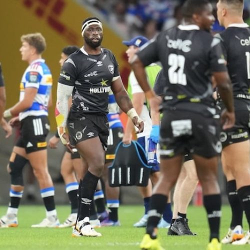 Sharks, Bulls and Lions show fight as Stormers suffer first defeat
