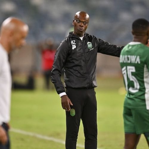 “We Were Close To Executing The Plan – Zwane