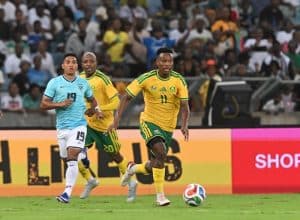 Read more about the article Broos Open on Zwane Selection After Bafana Return