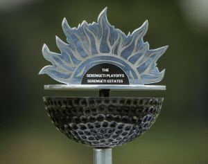 Read more about the article Sunshine Tour’s Courier Guy Playoffs ready to deliver a world of opportunity for pros