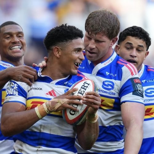 Stormers, Lions and Bulls move up on URC log