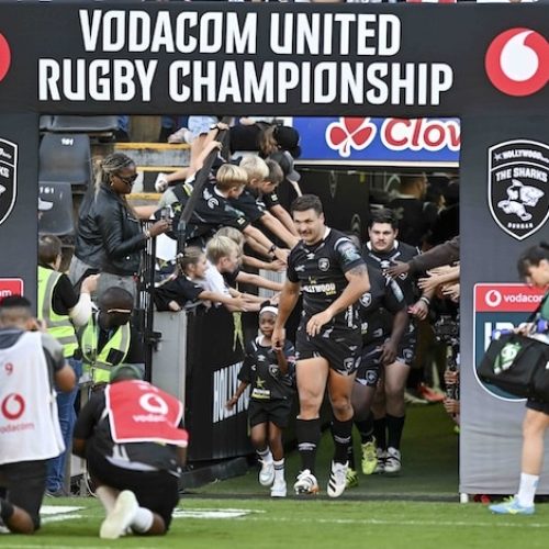 Sharks Aim to Finish Strong Ahead Of Zebre Showdown