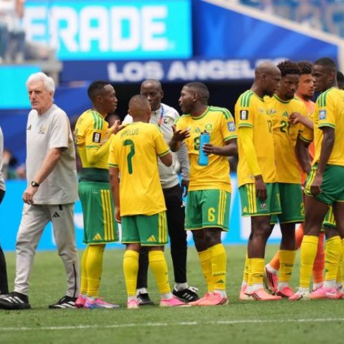 Hugo Broos Yet To Decide On Retirement After Memorable World Cup Run