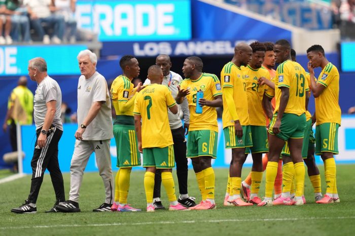 You are currently viewing Hugo Broos Yet To Decide On Retirement After Memorable World Cup Run