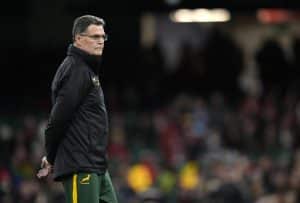Read more about the article Erasmus pleased with foundation laid as Boks wrap up first camp week