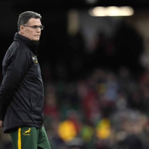 Erasmus pleased with foundation laid as Boks wrap up first camp week