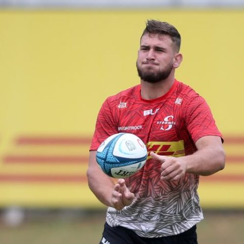 Smith drafted into Bok squad to boost lock stocks