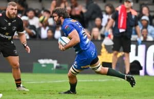 Read more about the article Van Heerden to join Springboks in Johannesburg