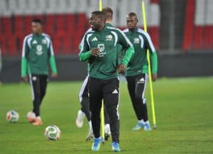Read more about the article Broos Confirms Modiba’s Return to Training Ahead of Mexico Clash