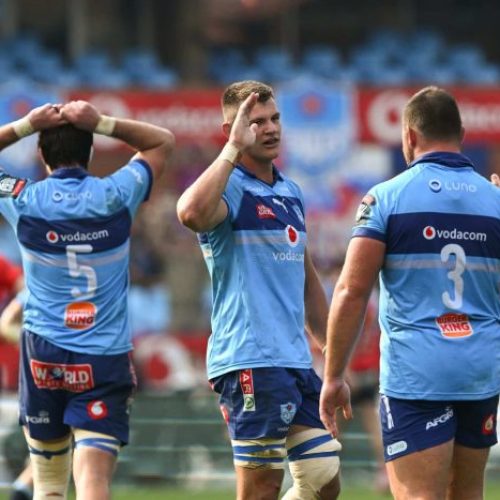 Bulls and Stormers march into URC semi-finals as Lions bow out