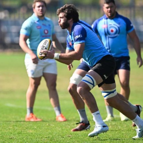 Nortjé’s biggest wish for his final run with the Vodacom Bulls