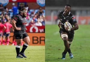 Read more about the article Springbok Squad Boosted By New Arrivals