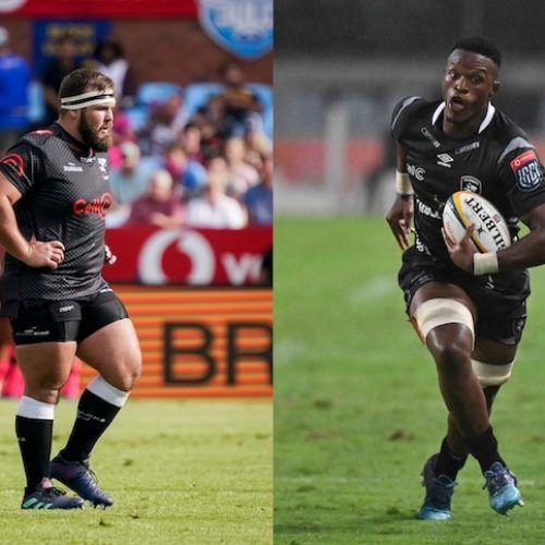 Springbok Squad Boosted By New Arrivals