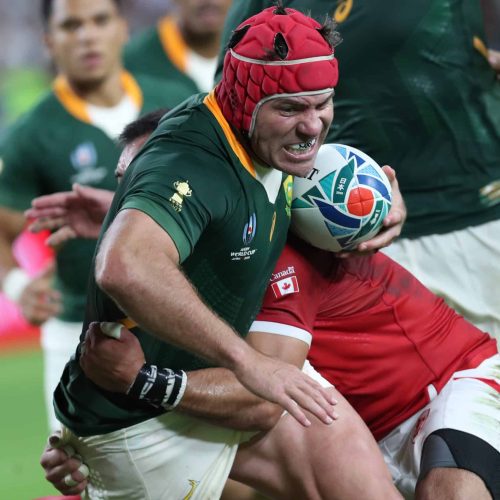 Brits identifies biggest weapon for Bulls