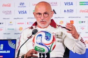 Read more about the article De la Fuente: We Have Very High Expectations For France Game