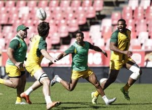 Read more about the article Erasmus Names 43-Man Springbok Squad for Next International Block