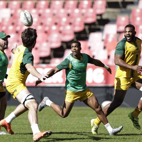 Erasmus Names 43-Man Springbok Squad for Next International Block
