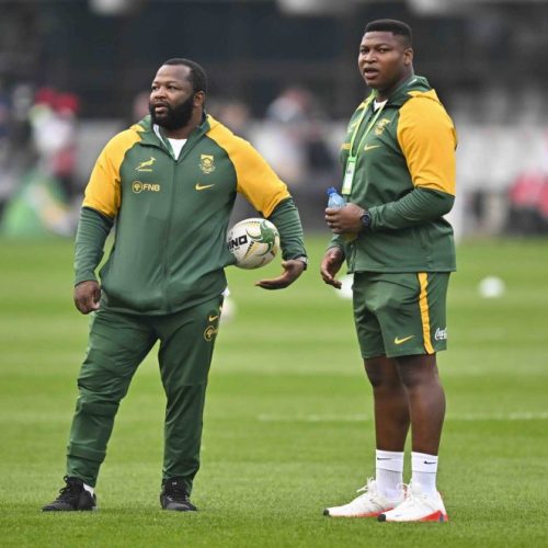 Mchunu drafted into Springbok squad
