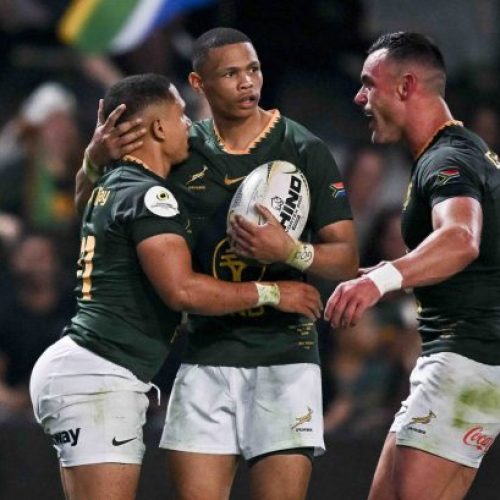 Erasmus hands out pass mark as thoughts turn to Pumas