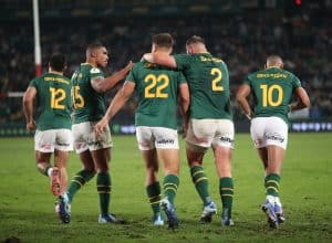 Read more about the article Ellis Park “flashbacks” inspire Springboks to victory