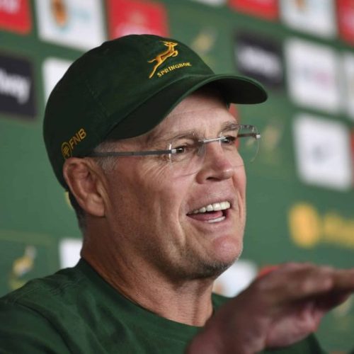 Erasmus names new-look Bok side to face Scotland