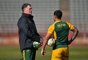 Read more about the article Erasmus becomes record-breaking Springbok coach