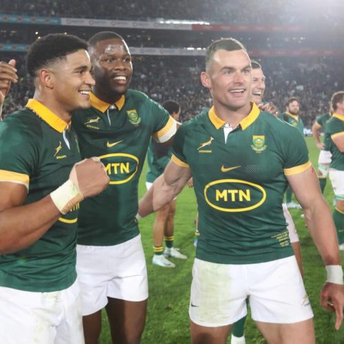 Springboks Dig Deep to Beat Argentina and Extend Winning Streak to 12