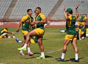 Read more about the article Springboks arrive in Argentina for Los Pumas Test