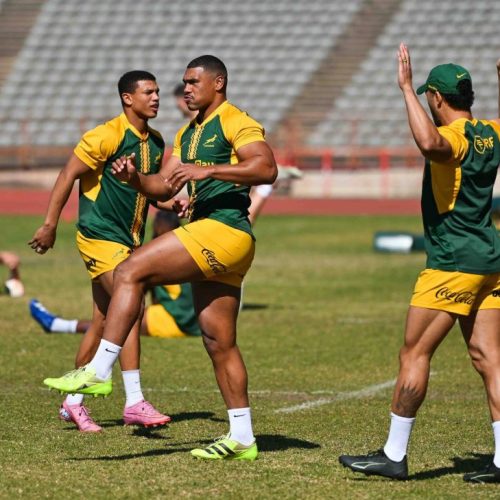 Springboks arrive in Argentina for Los Pumas Test