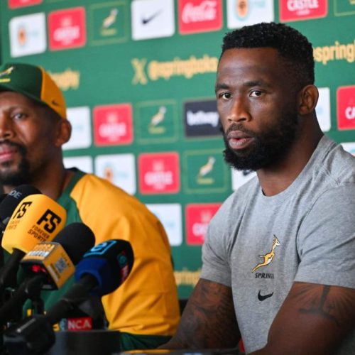 Kolisi and Stick expecting intense battle against Argentina
