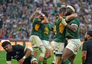 Read more about the article Springboks hold on to level series against New Zealand in Cape Town