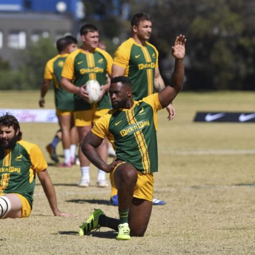 Kolisi cleared to face the All Blacks in Cape Town