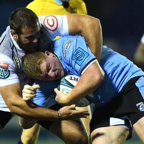 From pro rugby to supporting others’ mental health