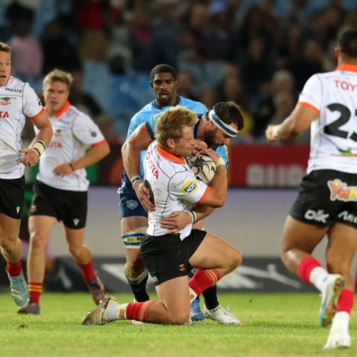 Toyota Cheetahs Name Team for EPCR Challenge Cup Opener
