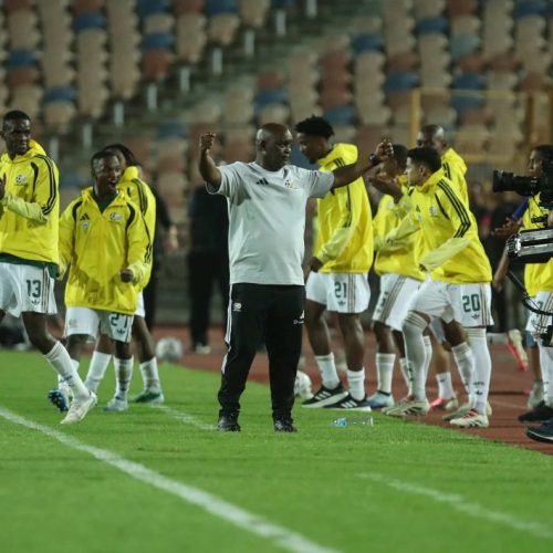 Pitso: I Let Them Swim With the Sharks