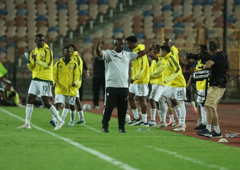 You are currently viewing Pitso: I Let Them Swim With the Sharks